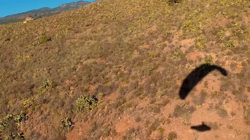 Tenerife 2018 paragliding